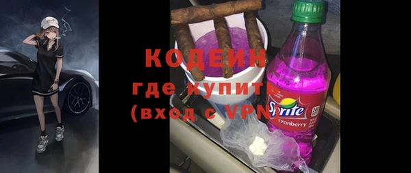 амф Вяземский