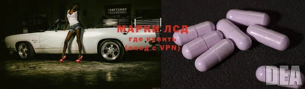 амф Вяземский