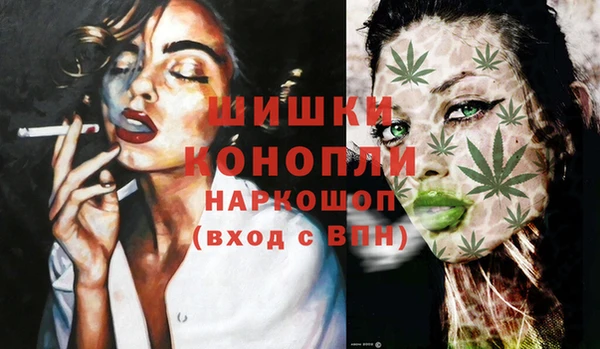 амф Вяземский